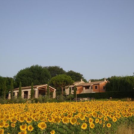 Rustico Del Conero Villa Camerano Exterior foto