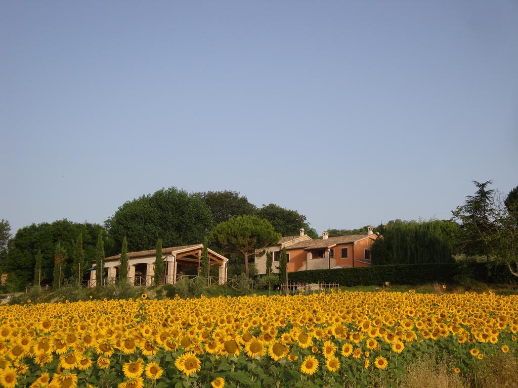 Rustico Del Conero Villa Camerano Exterior foto