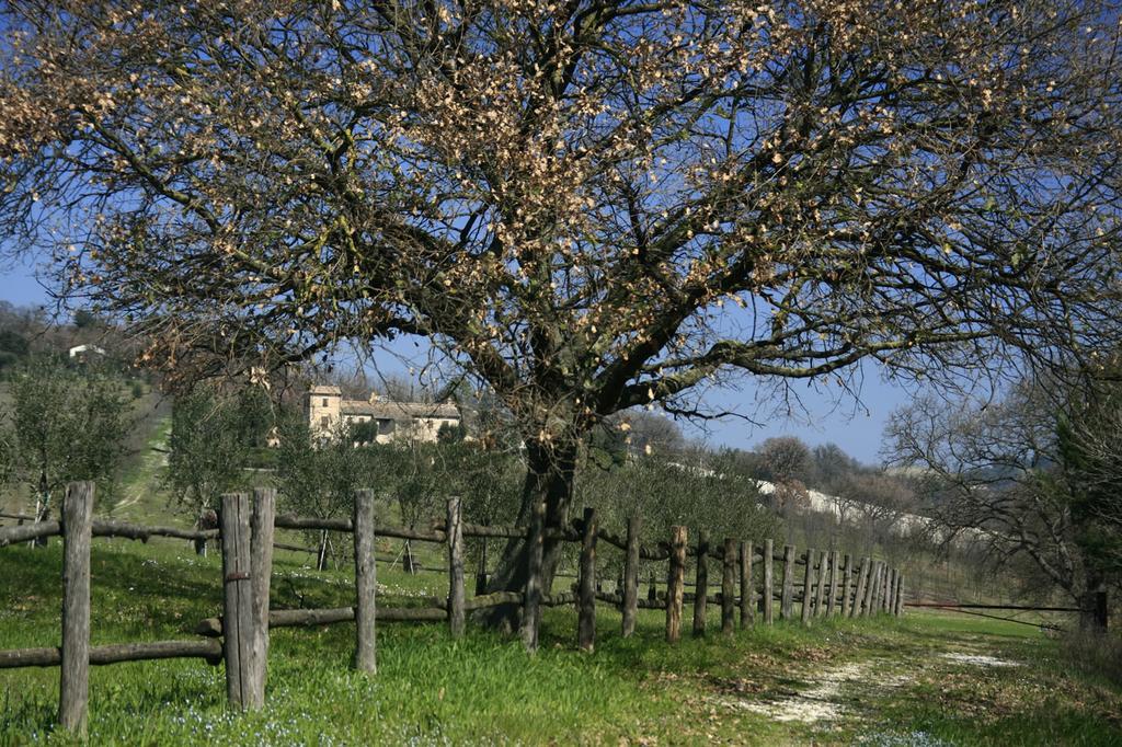 Rustico Del Conero Villa Camerano Exterior foto