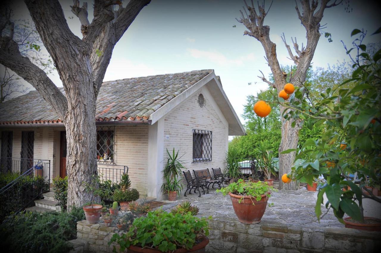 Rustico Del Conero Villa Camerano Exterior foto